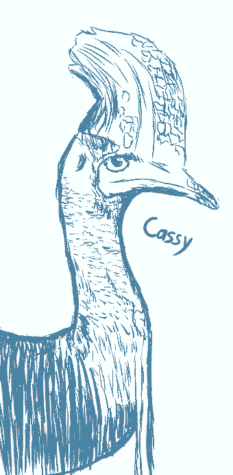 For Some Reason I Had A Small Phase Where I'd Draw Birbs, Honestly 'twas Fun