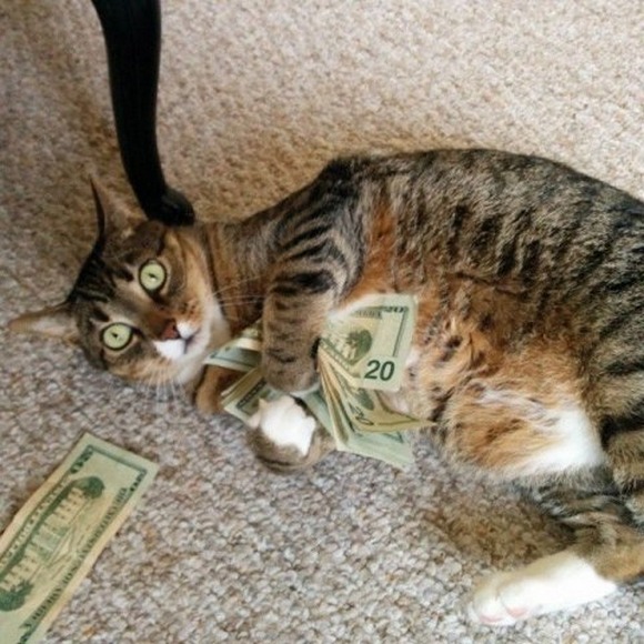 catasters:  What do you do when friends ask to borrow money? 