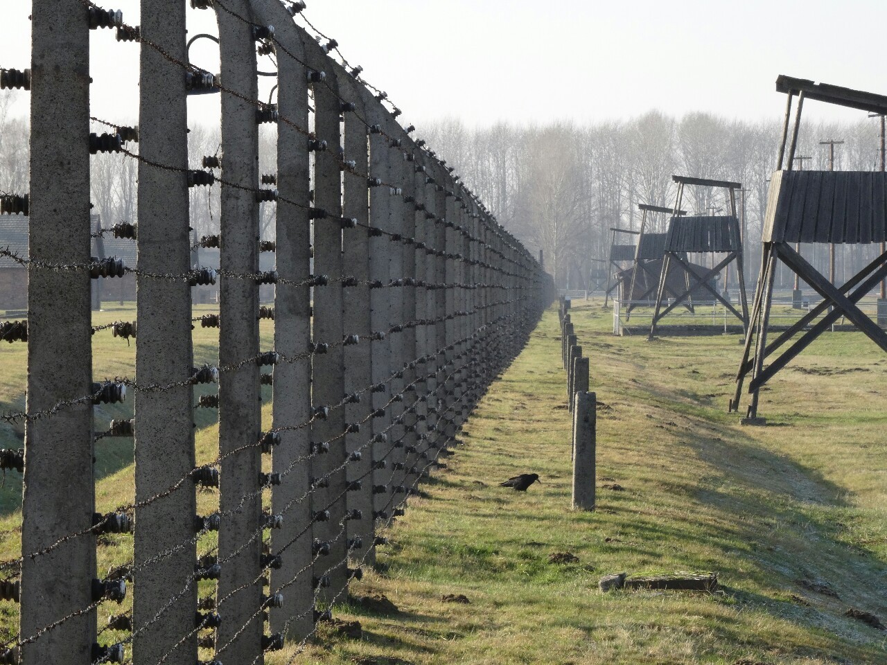 Auschwitz l and ll - Birkenau&hellip;.. A Residence of Death!! 