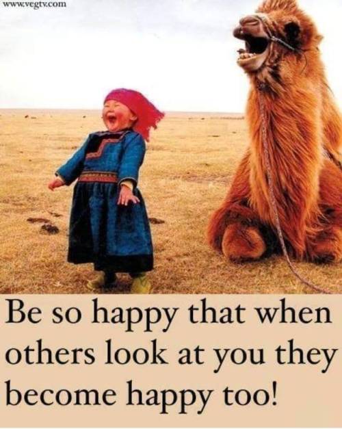 acurlygirlamy:  Happy Wednesday Bitches!