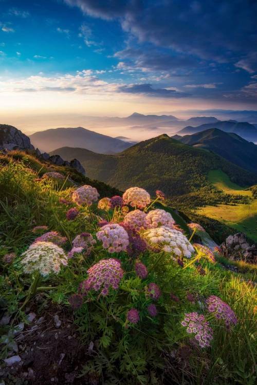 j-k-i-ng:“Summer Paradise“ by | Boris MichaličekVeľký Rozsutec, Malá Fatra, Slovakia