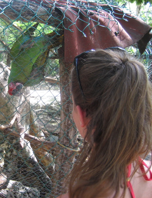 boho-bab-e:  vanillaa-sunshine:  me and my lovely little parat friend in mexico :)  reblog this pict