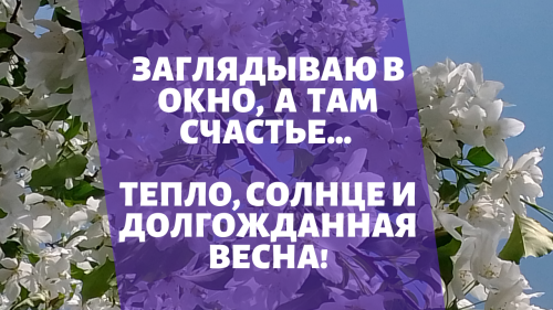 Заглядываю в окно, а там счастье…Тепло, солнце и долгожданная весна!*************************