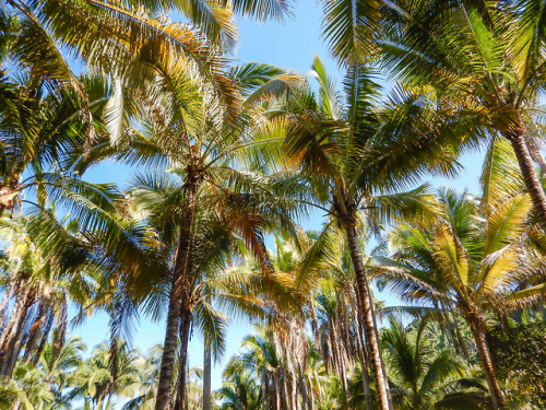 Punta MonterreyRiviera Nayarit México.Foto: Enrique Jiménez