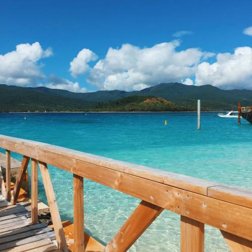 Mystery Island ace day spotting turtles, sting rays &amp; sharks off a tiny little island in Vanuatu