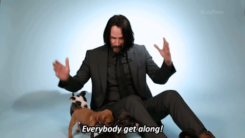 pajamasecrets: Keanu playing with puppies! Okay, this is wayyy too much cuteness