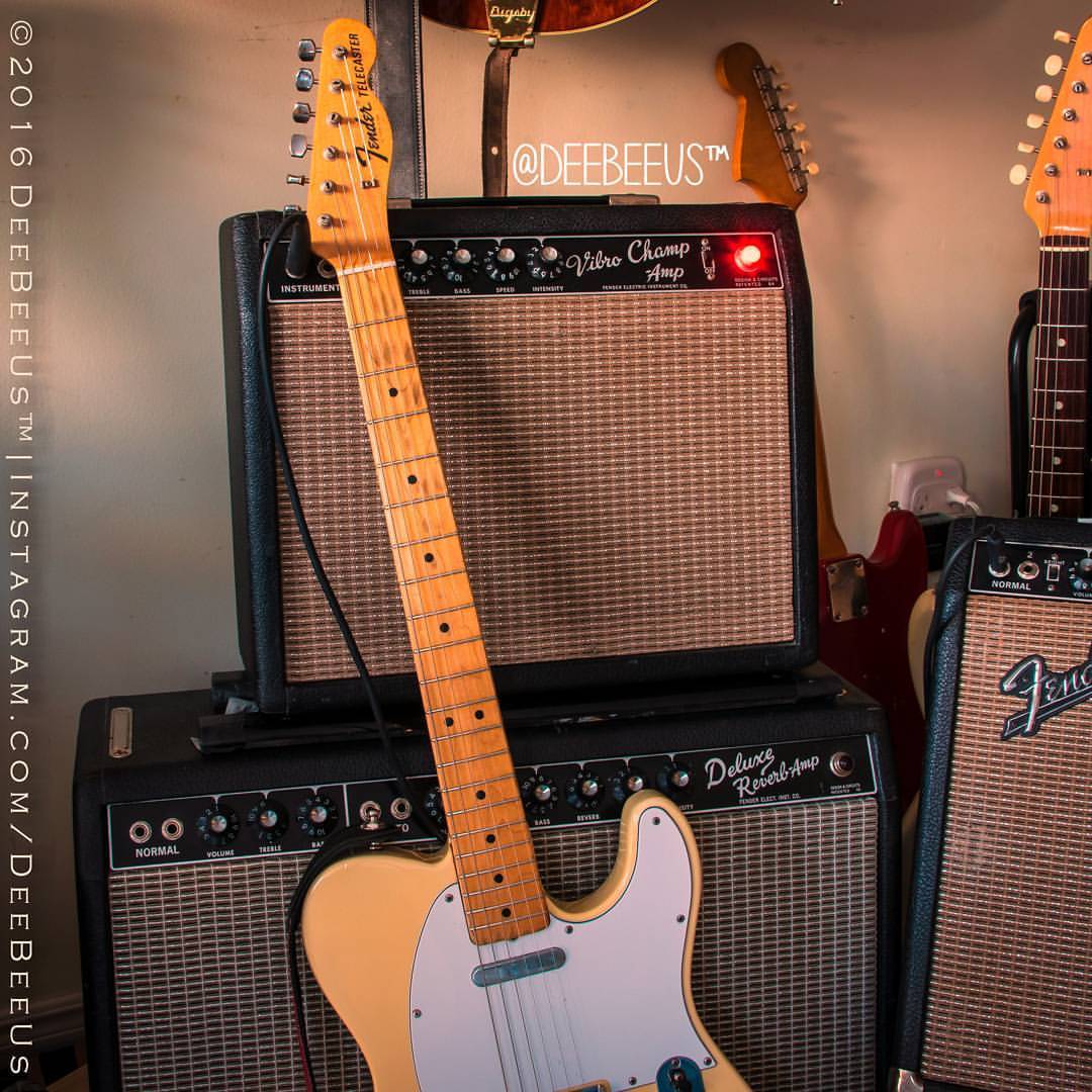 deebeeus:
“ The sun goes down on “Temporary ToneHenge™”. Three #blackface #amps and a #Tele.
1968 #Telecaster, with 1965 #VibroChamp (and ‘63 #DeluxeReverb beneath it, and ‘65 #Vibrolux Reverb on the right
PS: Temporary #ToneHenge™ is becoming less...