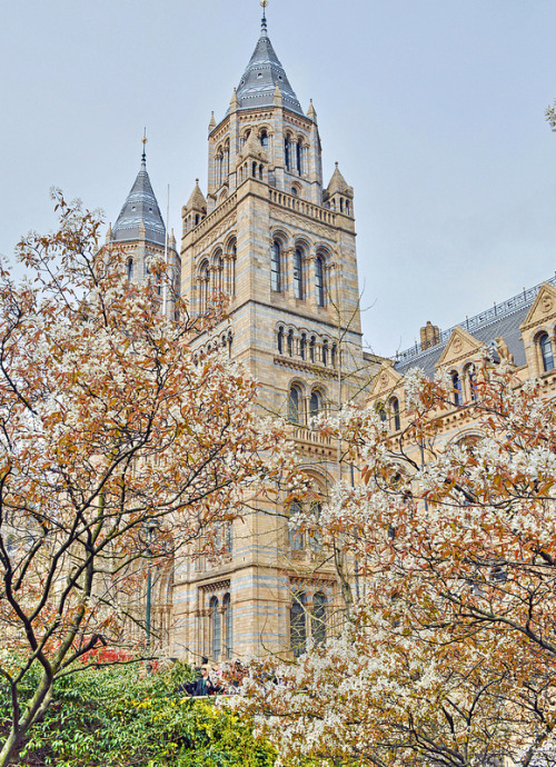 lheartlondon - Natural History Museum