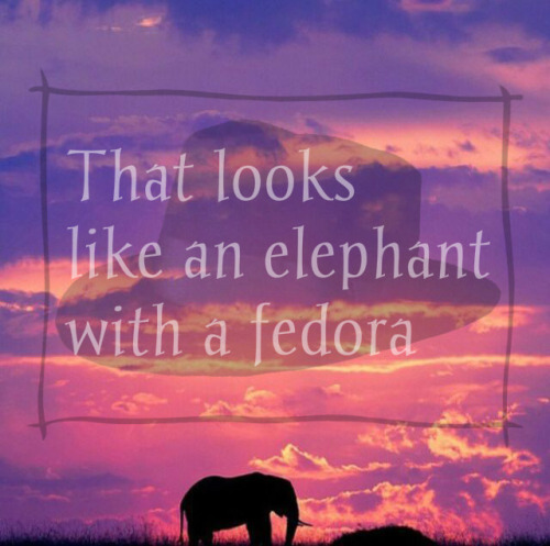  ~+*♡*+~ Follow for more elephant fedoras ~+*♡*+~