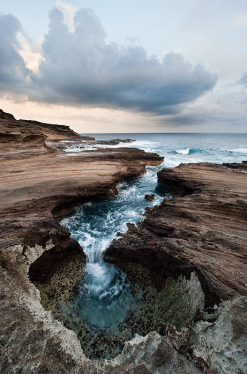 isawatree:  . by ~AALLAANN 