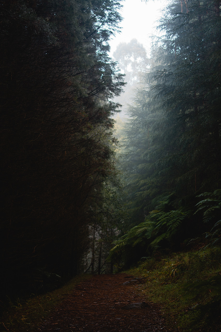 hullocolin:    Tumblr | Instagram | Shop   