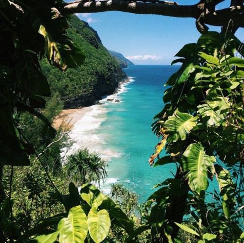 livingyoungwildfree: good vibes only
