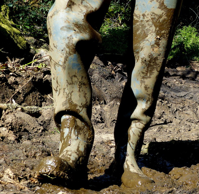 Water, mud, glop… on Tumblr: Superchameausec waders in the dirty mud ...