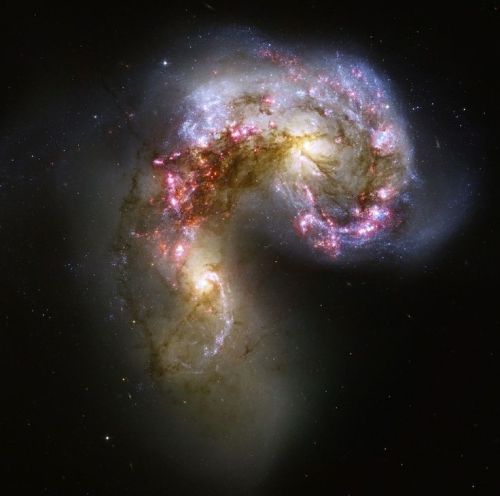 Gravitational Beauty