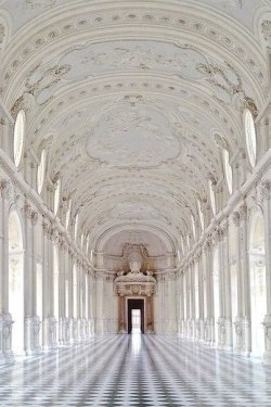 Liatris-N:    Palazzo Di Venaria Reale - Torino   