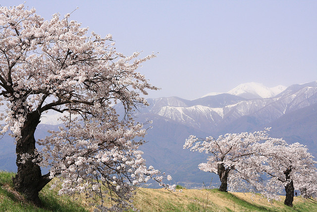 miizukizu:  By : aj lopes(Do not remove credits)