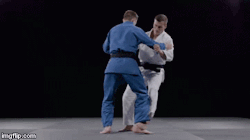 juji-gatame:  A little bit of Judo competition scoring for the masses… 