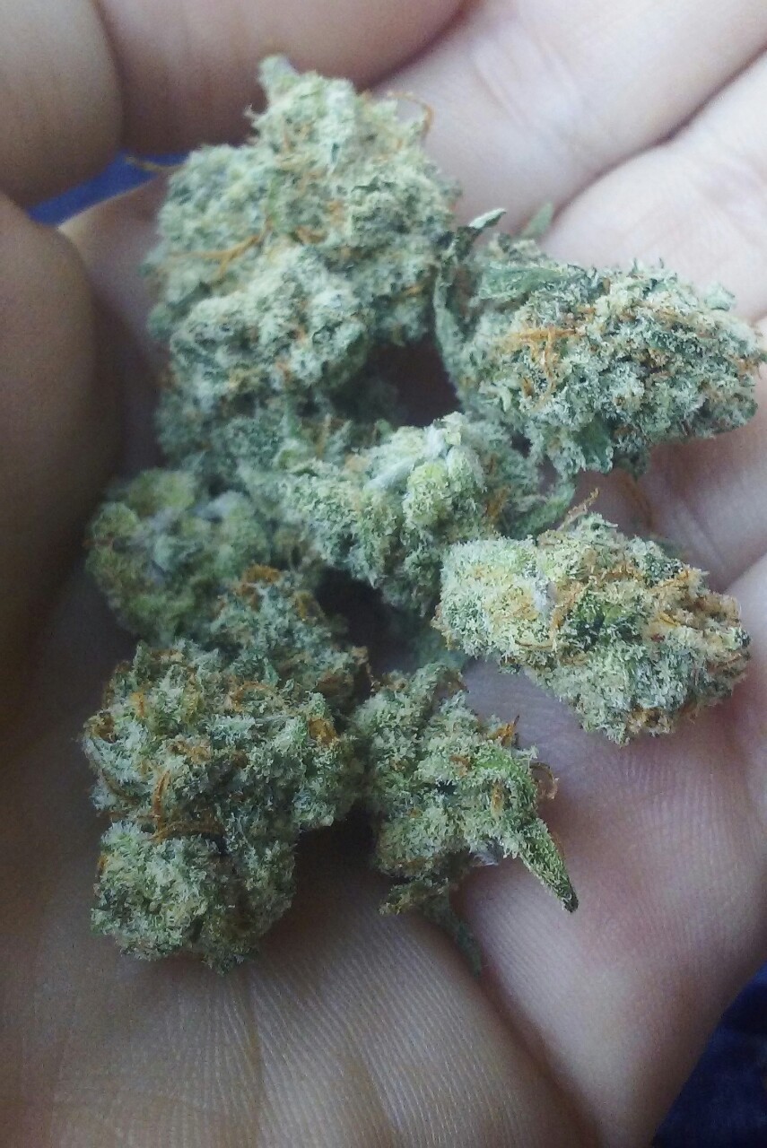 sweetspliffprincess:  Pre-98 Bubba✨