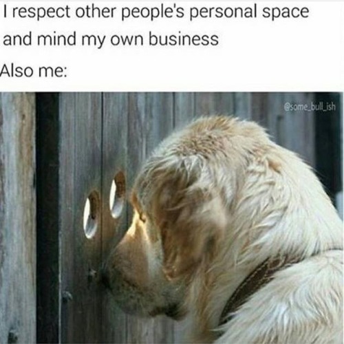Bitchy Code