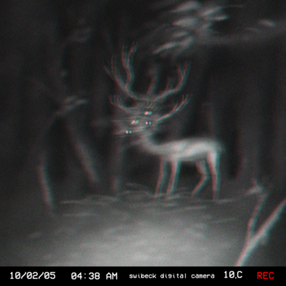 slimyswampghost:Another still from the Centennial Ridges Trail in the Algonquin provincial