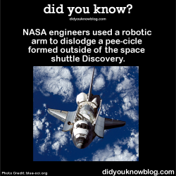 did-you-kno:  NASA engineers used a robotic arm to dislodge a pee-cicle formed outside of the space shuttle Discovery.  Source