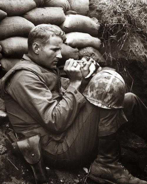 1ruckus: imjustjustine26: The marine and the kitten Korean War 1952 Always… Semper Fidelis