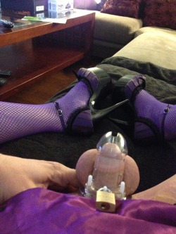 sissy in heels, stockings, and her clitty