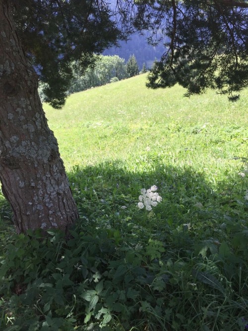 Springtime Days Filled With Joy & Serenity