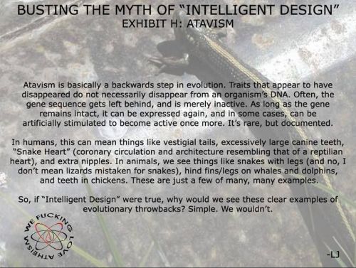 religion-is-a-mental-illness:“Intelligent design” isn’t, and your god is vestigial
