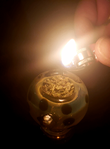 helianthus-spiritus:Release!