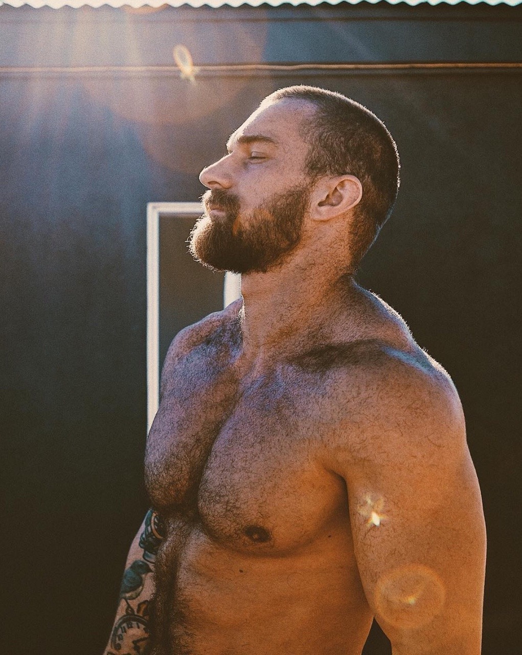 Just average guy into other guys