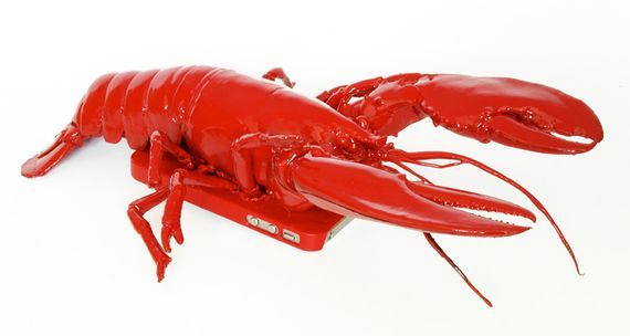 I wonder whats inside this box of crabs