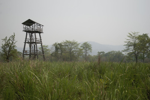 Chitwan National ParkNepal2018