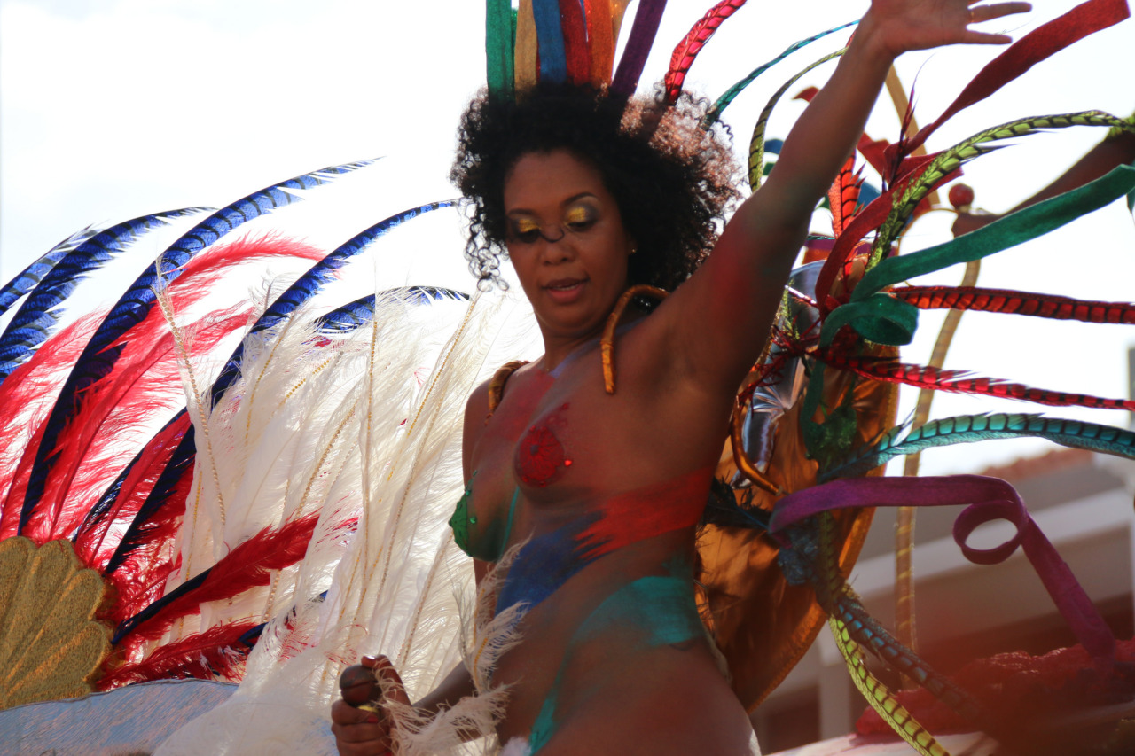   Body painted carnival from Cape Verde, photographed by Carlos Reis.  