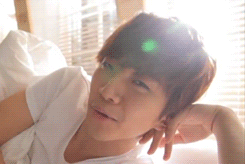 alohomorashlie:  #ashlie look   #okay so   #this is him   #after he plops onto
