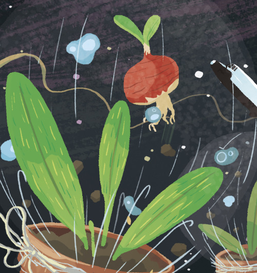 timmydraws:  EDIT: Tumblr Radar! Thanks guys! NASA are growing vegetables in space! That stuck with me for days, so I did a quick personal illustration on it. Not scientifically accurate at all, but hey, artistic license. Check out my other work here.