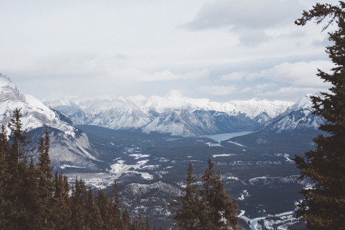 tulipnight:Banff by Barnabas Siwila