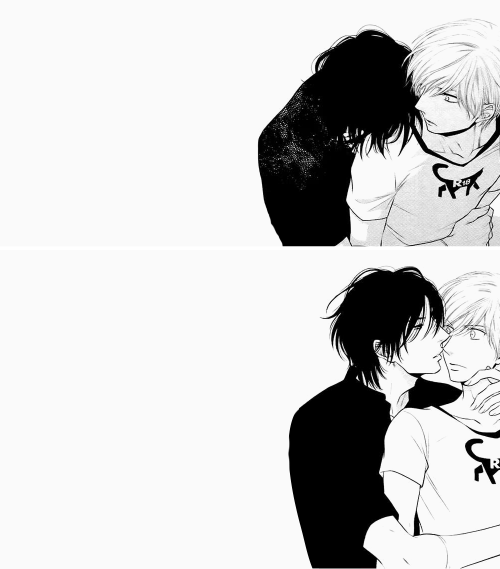 I LOVE IWAOI