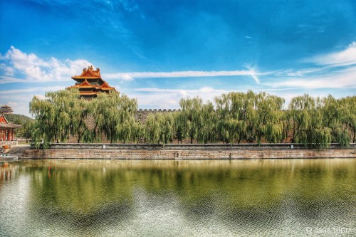 The Forbidden CityBeijing, Sep 2015c. ilaria filippi