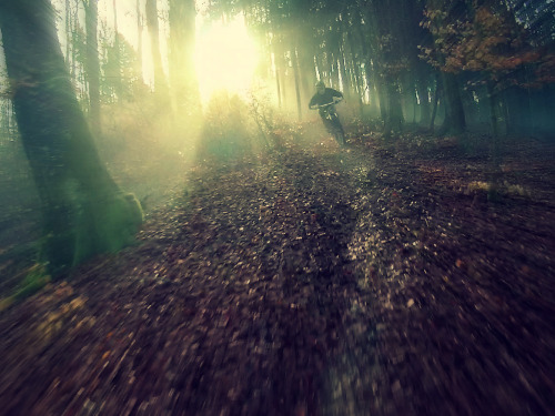 gravity-pushes: Just us, the bikes and the forest.