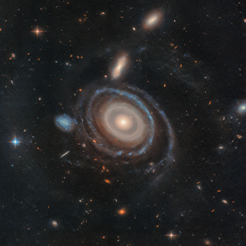 A large galaxy is at center, and a significantly smaller galaxy is to its left. The large galaxy, nicknamed the Bullseye, is mostly face-on, but the top appears slightly tilted away. It has several rings. Its circular core is bright white at the very center, but light yellow overall. Going outward, there are gaps between the rings. The core is surrounded by two slightly lighter yellow rings, which also appear to be overlapping. The next ring is slightly more transparent and yellow. The two or three rings that are farther out are bluer, sometimes with blue clumps. The widest ring is also blue, but also the most transparent. At 9 o’clock is a small dwarf galaxy. It is about the same size as the yellow core of the Bullseye. The dwarf galaxy is blue, with many dots. It looks like the edge of the Bullseye might touch the dwarf galaxy. Both galaxies are set on the black background of space, which is dotted with a range of galaxies in different shapes, colors, and sizes.