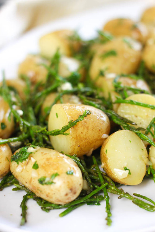   Hello, Potato Lovers.  