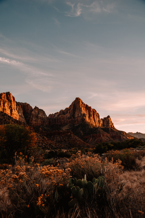 jasonincalifornia:The Watchman - Zion National Park.  I legit don’t remember there being a deer in t