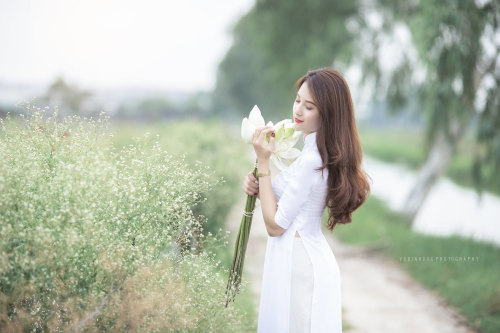  Vietnamese long dress (Ao dai) bởi Beauty Collection Qua Flickr: Photo backup https://flic.kr/s/aHs