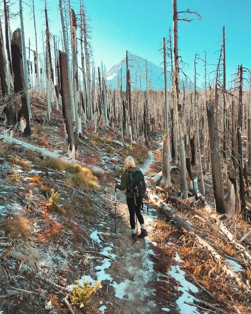 Tilly Jane Trail to Cooper SpurMt. Hood, Oregon, November 2018The last hike of 2018. I took Andreas 