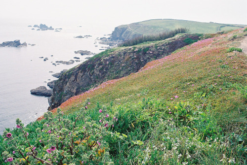 travelbinge: By Hannah BartlettLizard Point, England