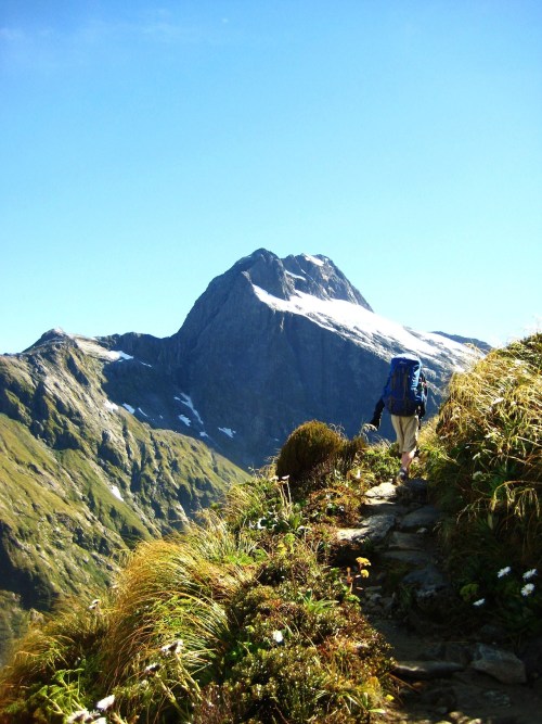 patagonia:  Milford Track, 2011