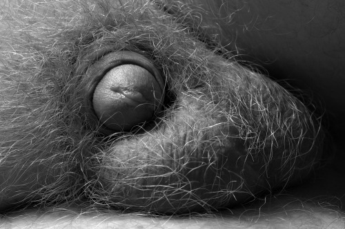 Here is the beautiful cock of a sexy friend of mine.  I hope you enjoy his uncut penis as much 