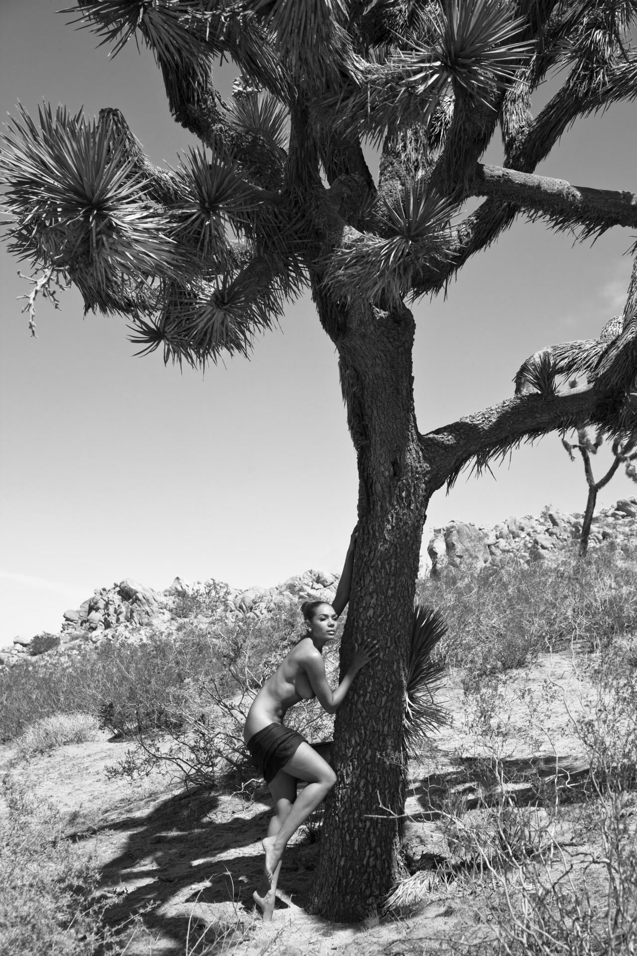 stmerrique:  by Sean Goodman