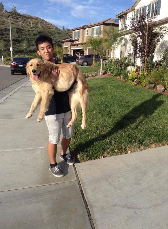 plystation:  tfw ur dog won’t budge so u gotta carry her ass back inside the house